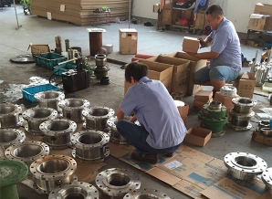  205 Packaging of mechanical seal products