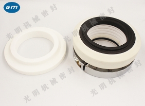  Wenchang 212 kettle mechanical seal