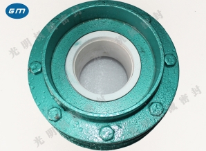  Wenchang 212 kettle mechanical seal