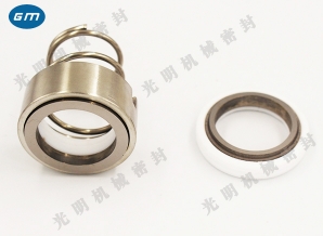  120 Light mechanical seal