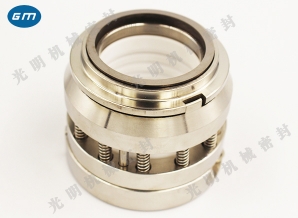  169 Medium mechanical seal