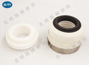  Jinchang WB2 strong corrosion mechanical seal