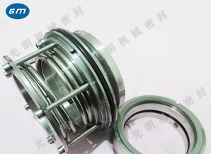  B173 mechanical seal