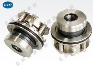  DT mechanical seal