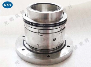  DT mechanical seal