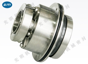  HTM mechanical seal