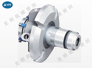  SLK 5620 mechanical seal