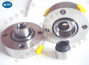  SLK1648 mechanical seal