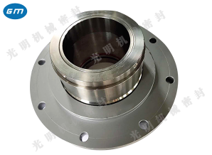  HJ92 kettle mechanical seal