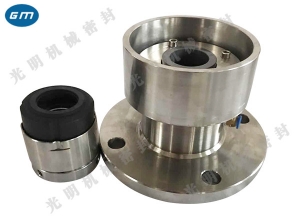  Hengshui 204 with water tank mechanical seal