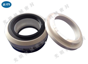  Shaotong 212 mechanical seal