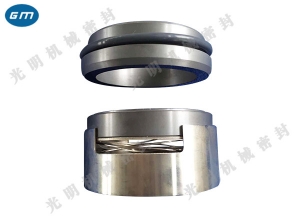  Hengyang M7N mechanical seal