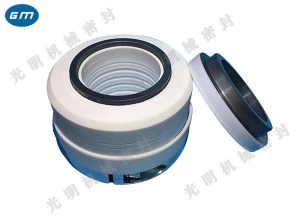  Zunyi WB2 mechanical seal