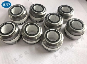  Pingliang WB2 mechanical seal