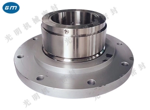  Shaoyang non-standard double face mechanical seal