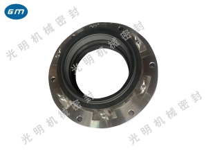  Sunken Kun mechanical seal