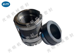  Jiangsu Metal Bellows Mechanical Seal GMXD-25