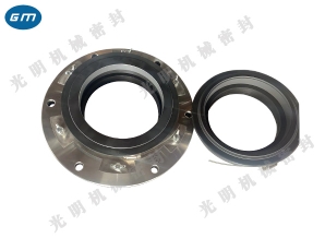  Sunken Kunlun Mechanical Seal