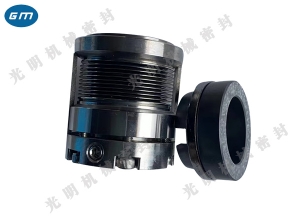  Jinbo mechanical seal