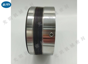  Qingyuan metal bellows mechanical seal