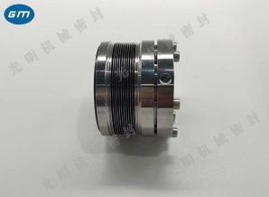  Wenchang metal bellows machine seal wholesale