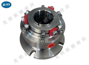  Special container mechanical seal for Heihe JMIHF pump