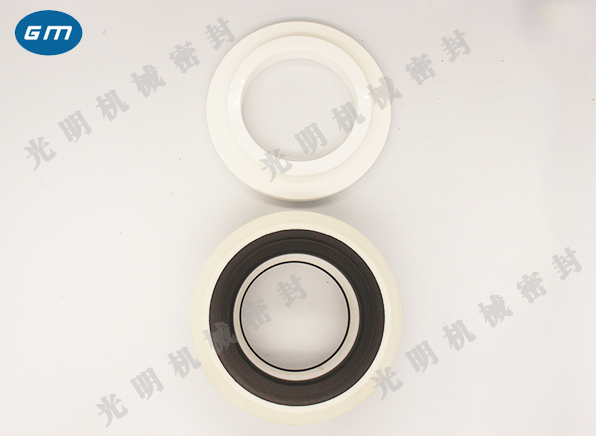  204 Mechanical seal