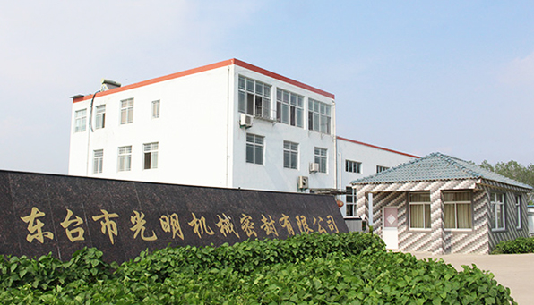  Dongtai Guangming Mechanical Seal Co., Ltd