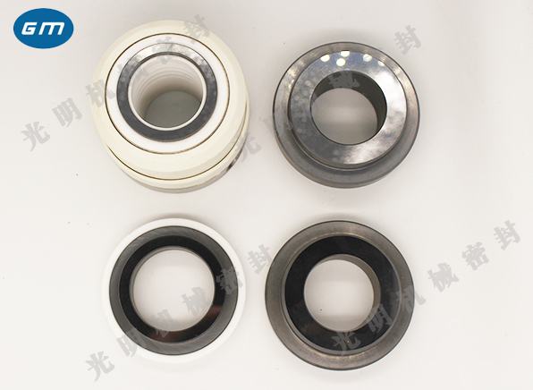  WB2 strong corrosion mechanical seal