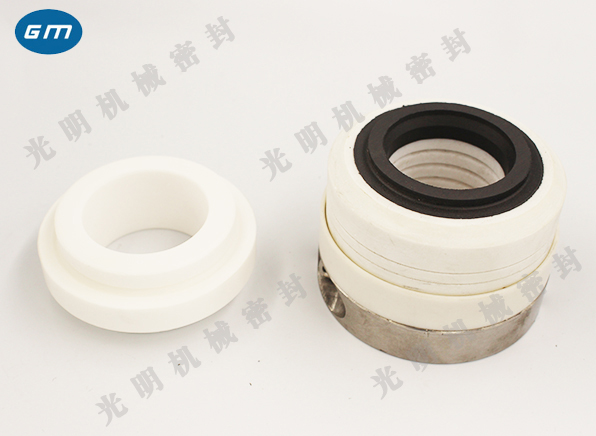  WB2 strong corrosion mechanical seal