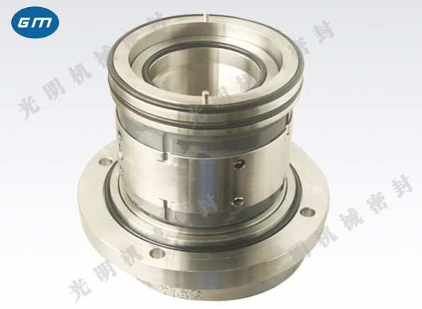  HM74D mechanical seal